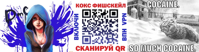 Cocaine Fish Scale  Купить закладки  Десногорск 